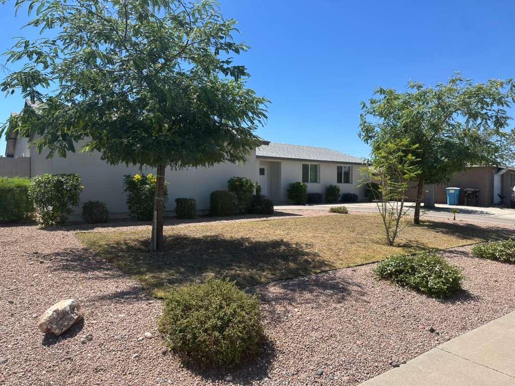 Front yard after — clean desert landscaping with trees