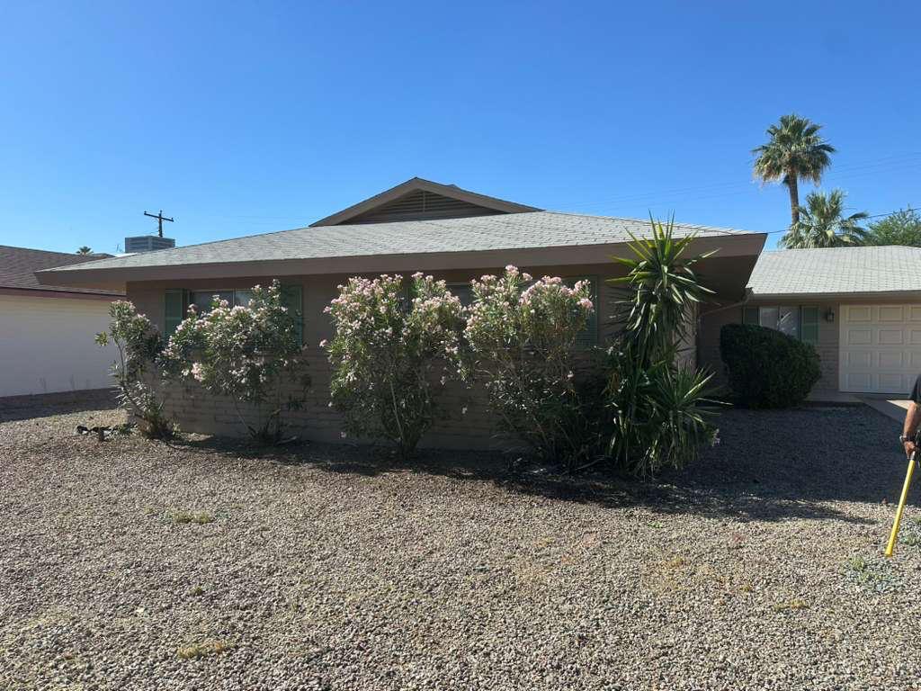 Front yard before — overgrown oleander bushes