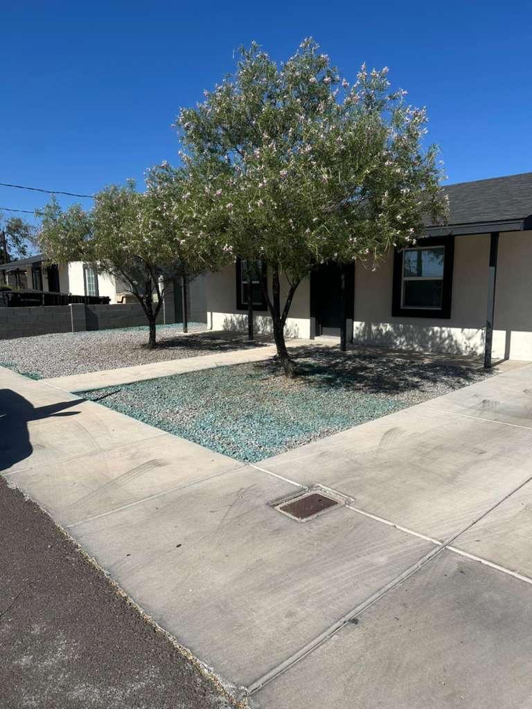 Landscaped yard with desert willow trees