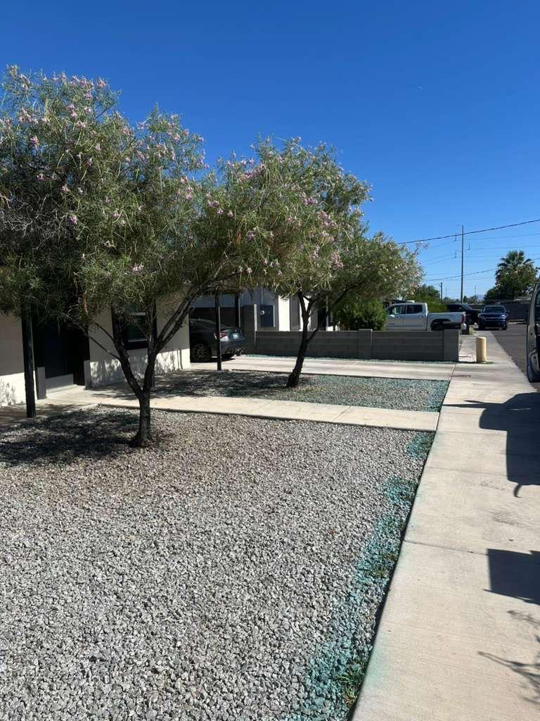 Clean landscaped front yard in Scottsdale